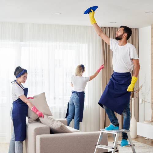 Deluxe Cleaning (Monthly) - Lake Stevens Cleaning Services